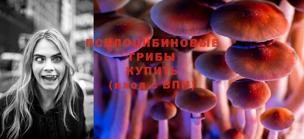PSILOCYBIN Нея